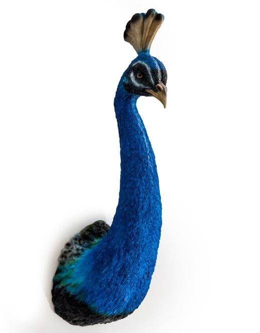 Hovedbilde Peacock Head – påfugl veggdekorasjon