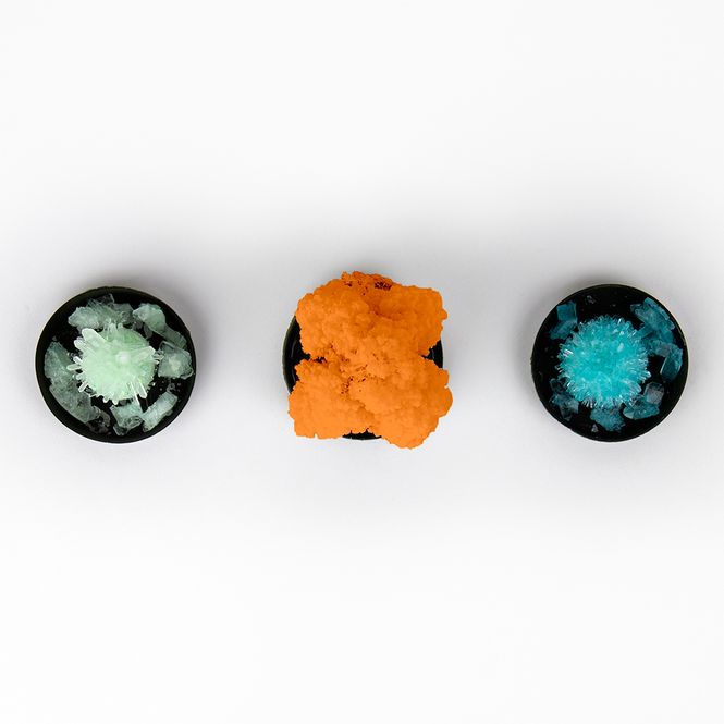 Hovedbilde Grow Your Own Crystals