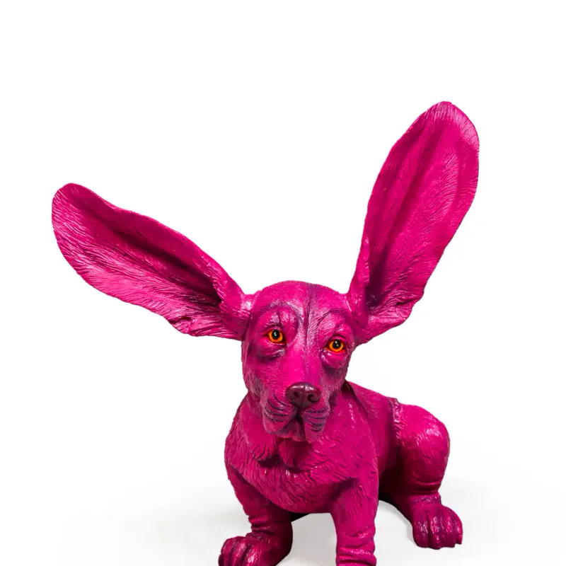 Purple Surprised Basset