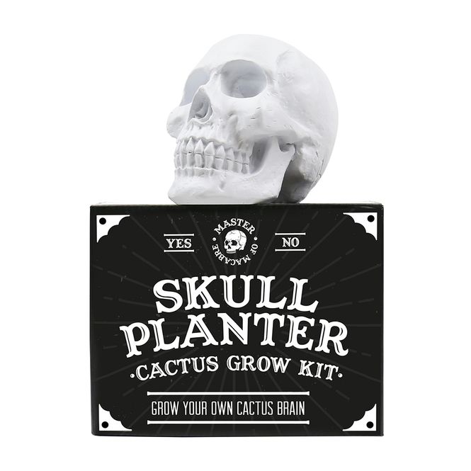 Hovedbilde Skull Planter Cactus Grow Kit