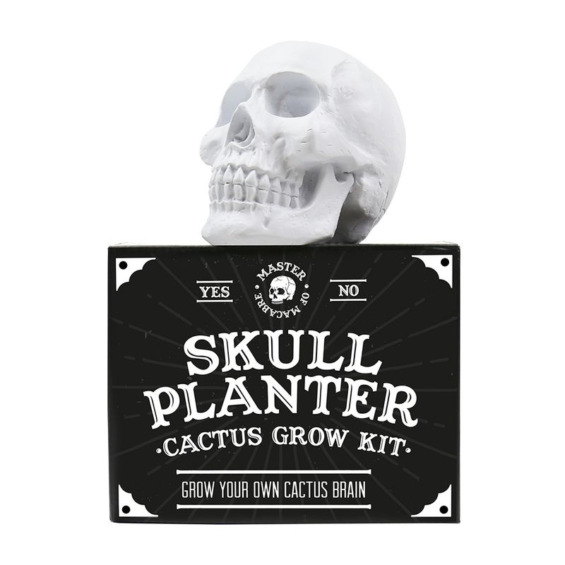 Skull Planter Cactus Grow Kit